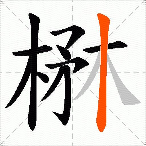 楙