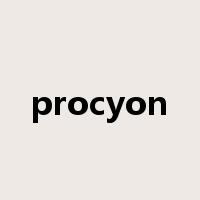 procyon是什么意思