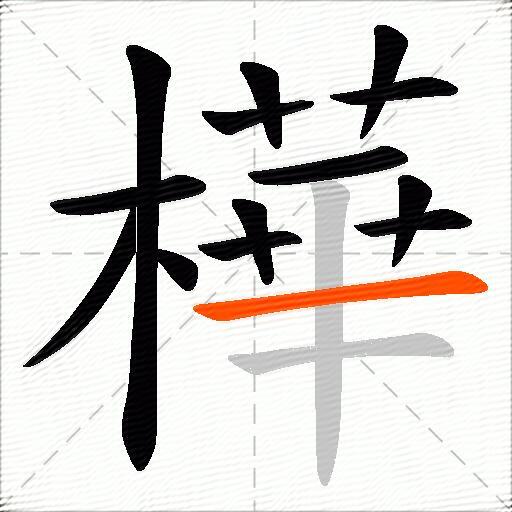 樺