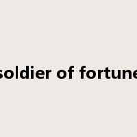 soldier of fortune是什么意思
