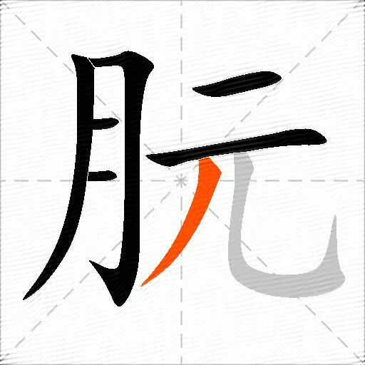朊