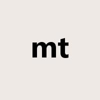 mt是什么意思