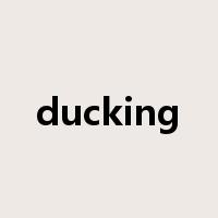 ducking是什么意思