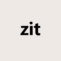 zit是什么意思