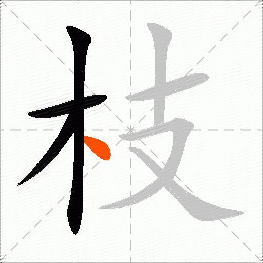 枝
