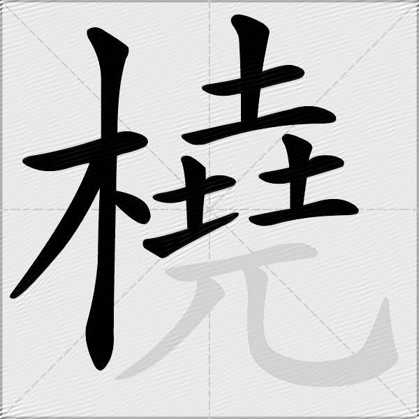 橈