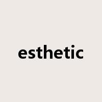 esthetic是什么意思