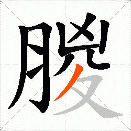 朡