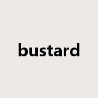 bustard是什么意思