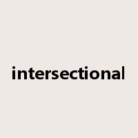 intersectional是什么意思