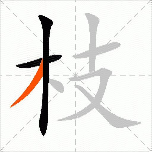 枝