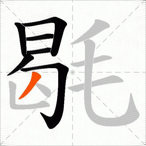 毼