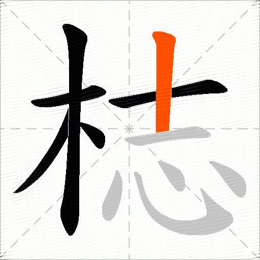 梽