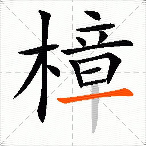 樟