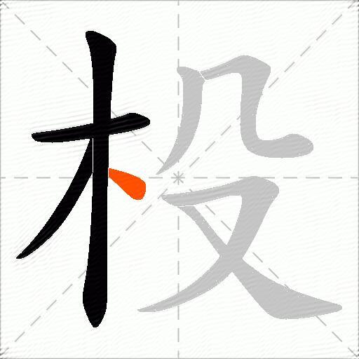 杸