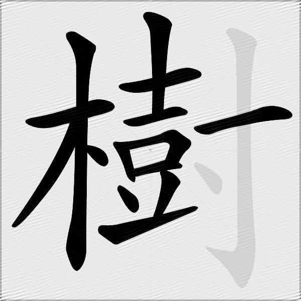 樹