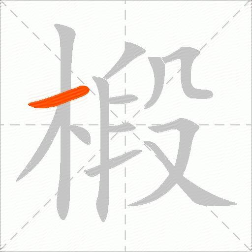 椴