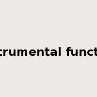 instrumental function是什么意思
