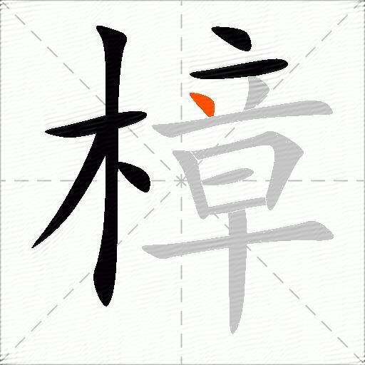 樟