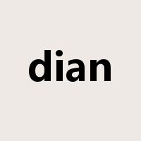 dian是什么意思