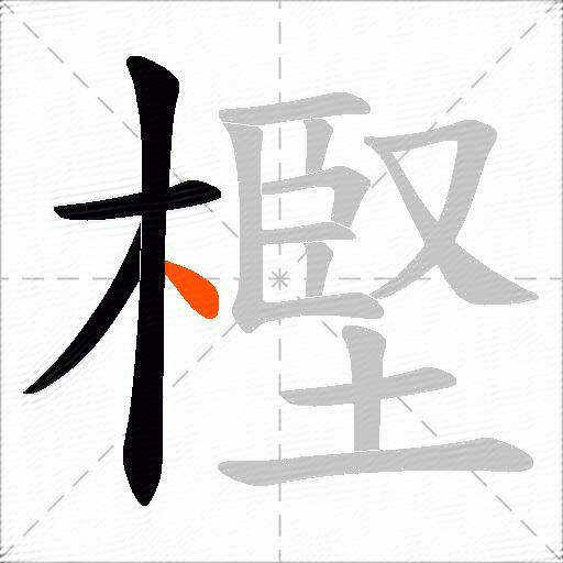 樫