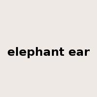 elephant ear是什么意思