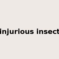 injurious insect是什么意思