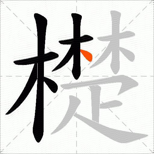 檚