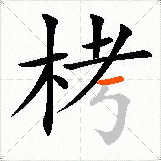 栲