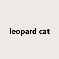 leopard cat是什么意思