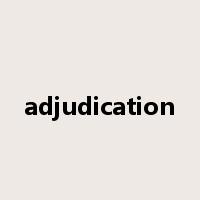 adjudication是什么意思