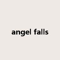 angel falls是什么意思