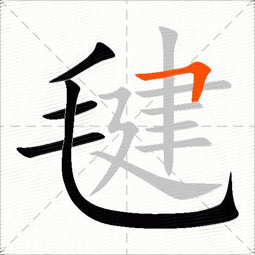毽