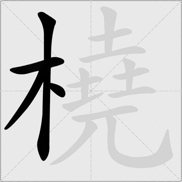 橈