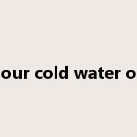 pour cold water on是什么意思