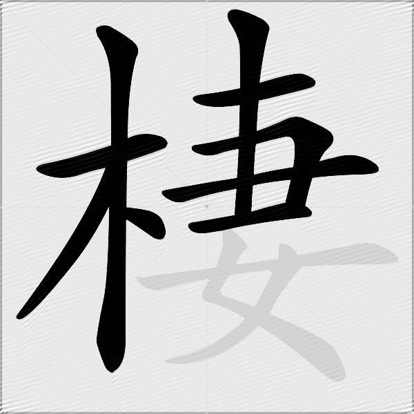 棲
