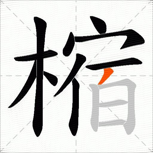 樎