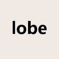 lobe是什么意思