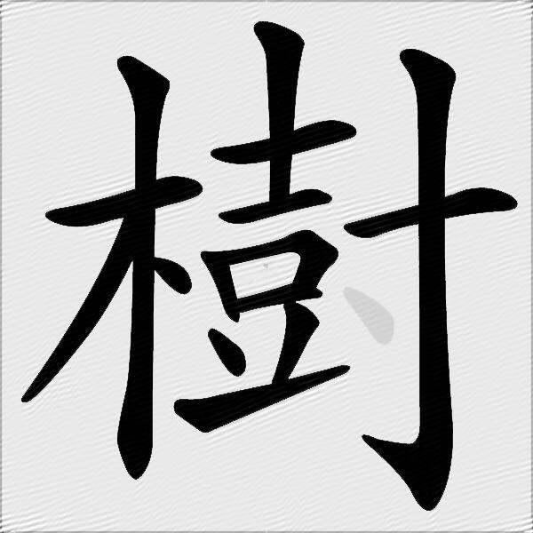 樹