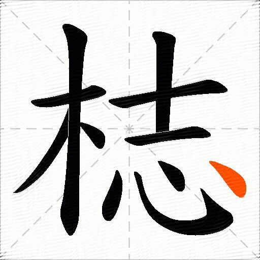 梽