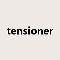 tensioner是什么意思