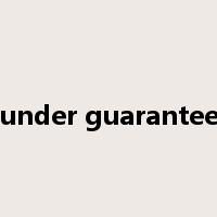 under guarantee是什么意思