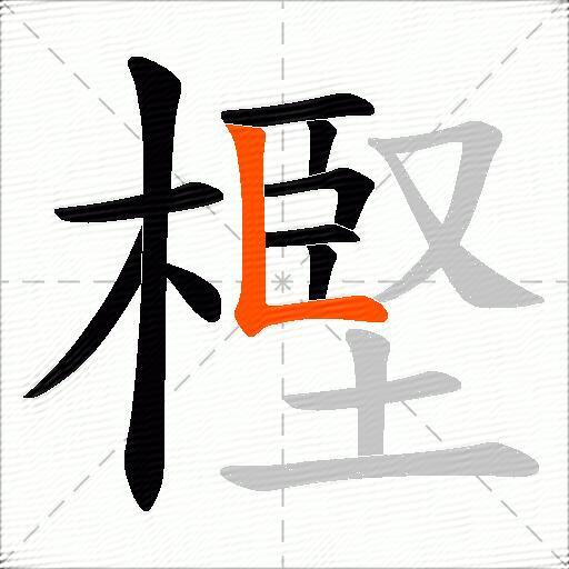 樫