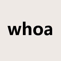 whoa是什么意思