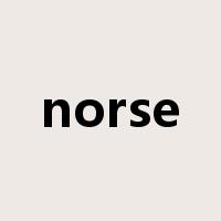 norse是什么意思