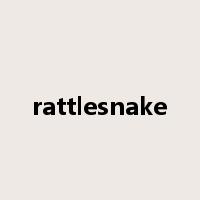 rattlesnake是什么意思