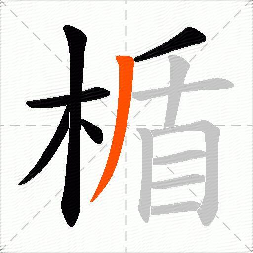 楯