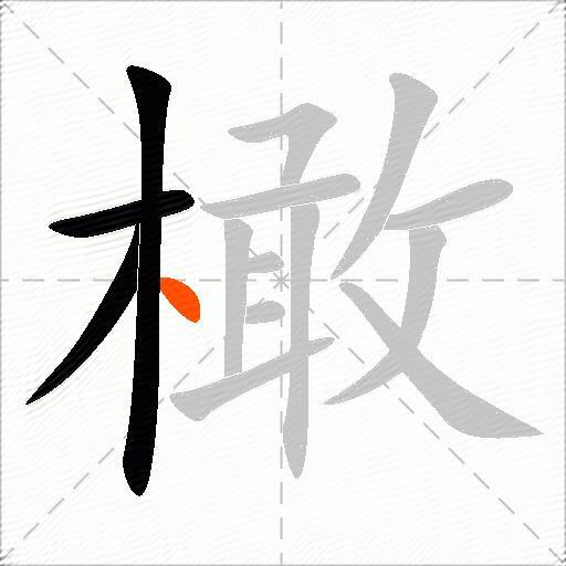 橄