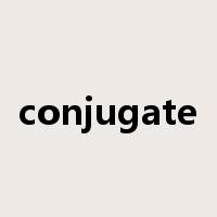 conjugate是什么意思