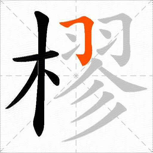 樛